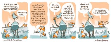 You're Certifiable