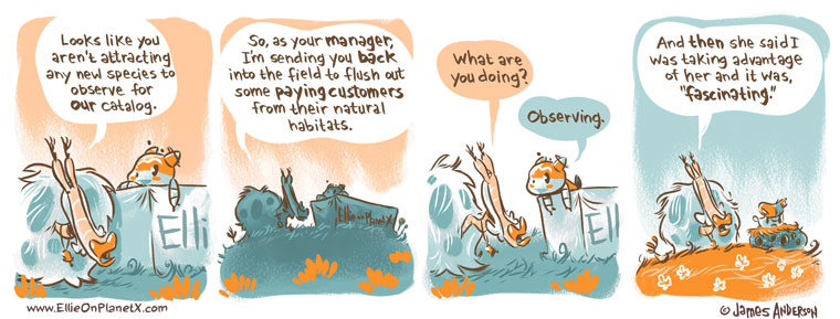 Managing The Management