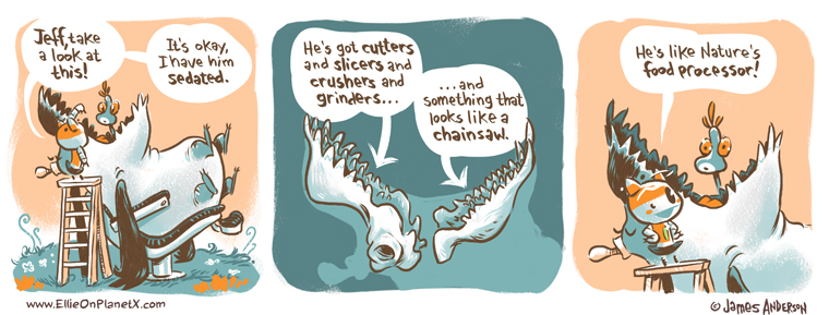 It Dices! It Slices!